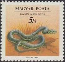 (1989-037) Марка Венгрия "Обыкновенный уж"    Охрана природы. Рептилии II &Theta;