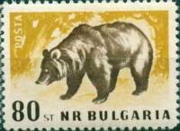 (1958-015) Марка Болгария "Бурый медведь" Перф лин 11   Дикие животные Болгарии II Θ