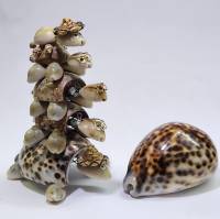 Сувениры из ракушек Семья черепашек и раковинв (сост. на фото)