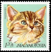 (1968-012) Марка Венгрия "Домашняя кошка "    Домашние кошки III Θ