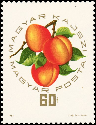 (1964-059) Марка Венгрия &quot;Венгерский абрикос&quot; ,  III O
