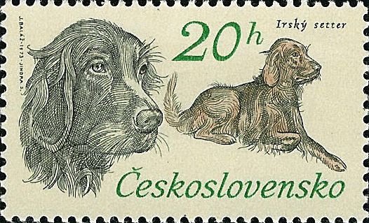 1973-038 Марка Чехословакия Ирландский сеттер   50 лет Чехословатскому охотничьему делу III Θ