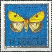 (1974-008) Марка Монголия "Медведица луговая"    Насекомые Монголии: бабочки III Θ