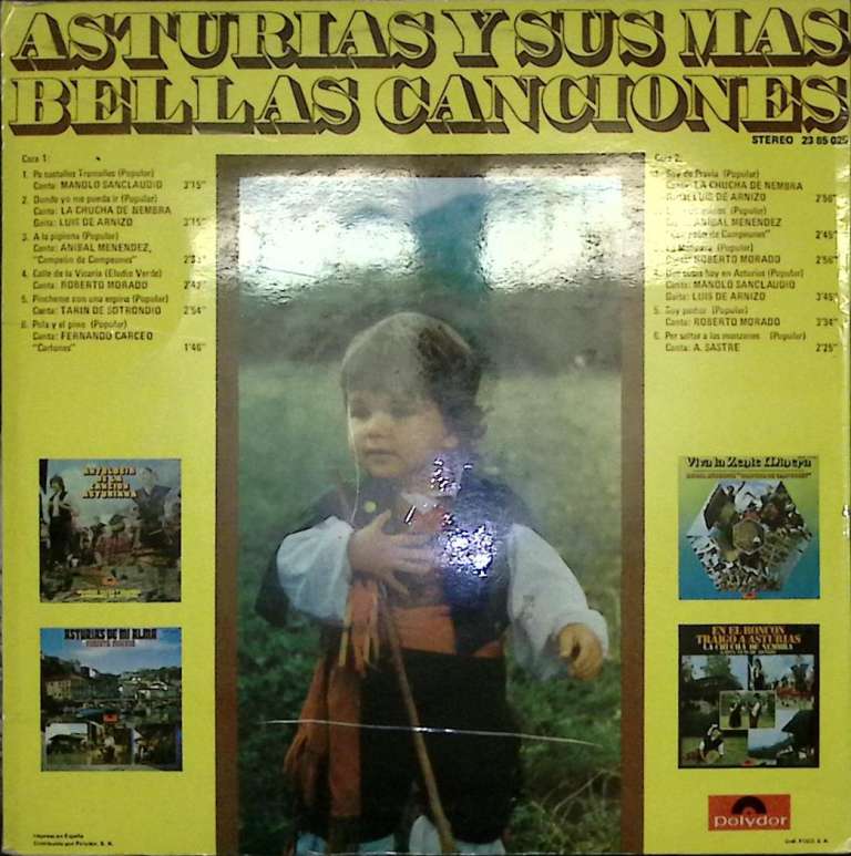 Пластинка виниловая , Sus Mas Bellas Canciones Polydor 300 мм. Excellent