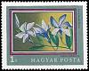 (1971-053) Марка Венгрия "Барвинок травянистый"    200-летие Ботанического сада Университета Будапе
