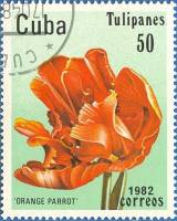 (1982-031) Марка Куба "Оранжевый попугай"    Тюльпаны III Θ