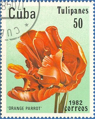 (1982-031) Марка Куба &quot;Оранжевый попугай&quot;    Тюльпаны III Θ