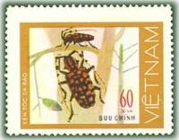 (1977-024) Марка Вьетнам "Леопардовый усач"   Жуки III Θ