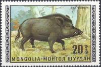 (1970-004) Марка Монголия "Кабан"   Дикие животные Монголии III Θ