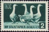 (1955-82) Марка Болгария "Гуси серые"   Сельское хозяйство и современное строительство II Θ