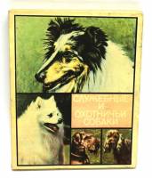 Набор спичечных коробков "Служебные и охотничьи собаки", полный 28 шт, СССР (сост. на фото)