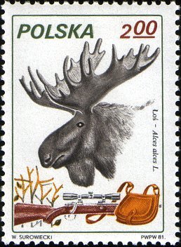 (1981-022) Марка Польша &quot;Лось&quot;    Охота III Θ