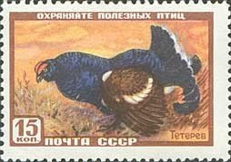 1957-030 Марка СССР Тетерев   Фауна I Θ