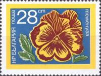 (1974-049) Марка Болгария "Фиалка"    Садовые цветы III Θ