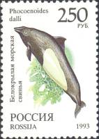 1993-072 Марка Россия Белокрылая морская свинья  Фауна III O