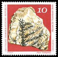 (1973-008) Марка Германия (ГДР) "Лебахия прекрасна"    Музей истории II Θ