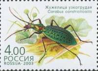 2003-054 Марка Россия Жужелица узкогрудая  Жуки, занесённые в Красную книгу III O