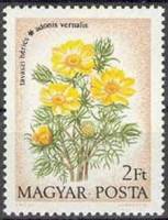 (1973-059) Марка Венгрия "Адонис весенний"    Полевые цветы II Θ