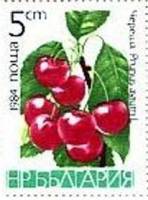 (1984-023) Марка Болгария "Черешня"   Фрукты III Θ