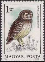 (1984-068) Марка Венгрия "Домовый сыч"    Защита птиц. Совы II Θ