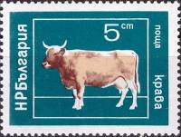 (1974-017) Марка Болгария "Корова"    Домашние животные II O