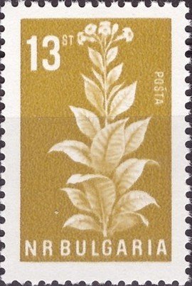 (1965-018) Марка Болгария &quot;Табак&quot;   Стандартный выпуск. Сельскохозяйственные культуры I Θ