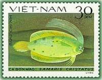 (1982-076a) Марка Вьетнам "Самарис"  Без перфорации  Камбала III Θ
