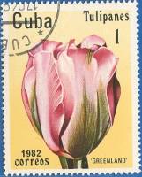 (1982-026) Марка Куба "Гренландия"    Тюльпаны III Θ