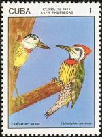(1977-009) Марка Куба "Кубинский зелёный дятел"    Птицы III Θ