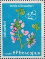 (1976-093) Марка Болгария "Багрянник европейский"   Цветение III Θ