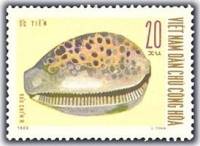 (1970-019) Марка Вьетнам "Тигровая ципрея"   Морские раковины III Θ