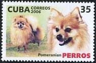 (№4832) Марка Куба 2006 год &quot;Померанского шпица canis волчанка familiaris&quot;, Негашеная