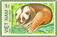 (1984-016) Марка Вьетнам "Бенгальский лори"    Охраняемые животные III Θ