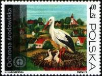 (1973-037) Марка Польша "Белый аист"    Охрана окружающей среды III Θ