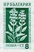 (1953-044) Марка из блока Болгария "Шалфей"   Лекарственные растения Болгарии (2) III Θ