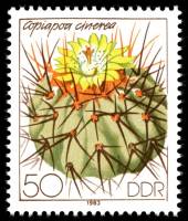 (1983-049) Марка Германия (ГДР) "Копьяпоа"    Кактусы III Θ