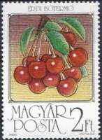 (1986-047) Марка Венгрия "Вишня"    Фрукты II Θ