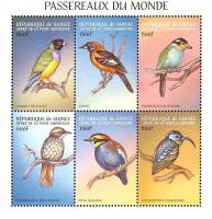 (№1999-2575) Лист марок Республика Гвинея 1999 год "Воробьиных птиц мира", Гашеный
