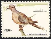 (1970-075) Марка Куба "Плачущая горлица"    Лесная фауна III O