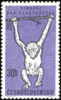 (1962-022) Марка Чехословакия "Обезьяна"    Животные III Θ