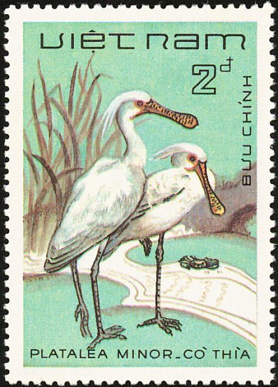 (1983-112a) Марка Вьетнам "Малая колпица"  Без перфорации  Птицы III &Theta;