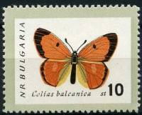 (1962-066) Марка Болгария "Желтушка балканская" Перф лин 11   Бабочки III O