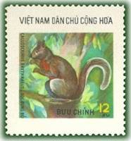 (1976-012) Марка Вьетнам "Краснобрюхая белка"   Дикие животные III Θ