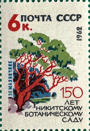 1962-091 Марка СССР Земляничник   Никитский ботанический сад 150 лет II Θ