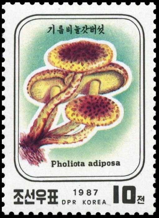 (1987-003) Марка Северная Корея "Чешуйчатка"   Грибы III &Theta;