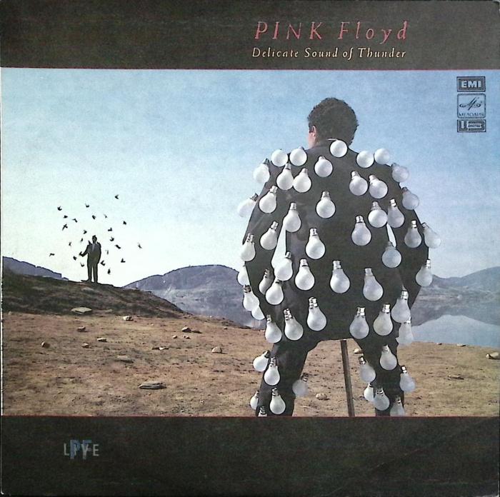 Набор виниловых пластинок (2 шт) &quot;Pink Floyd. Delicate Sound of Thunder &quot; Мелодия 300 мм. Near mint