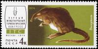 1974-038 Марка СССР Выхухоль   Международный териологический конгресс III Θ