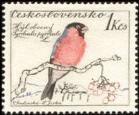 (1959-053) Марка Чехословакия "Снегирь"    Птицы III O