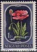 (1951-064) Марка Венгрия "Мак самосейка"    Флора Венгрии II Θ