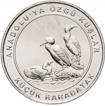 (2018) Монета Турция 2018 год 1 куруш &quot;Баклан&quot;  Медь-Никель  UNC
